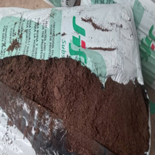 Peat Moss