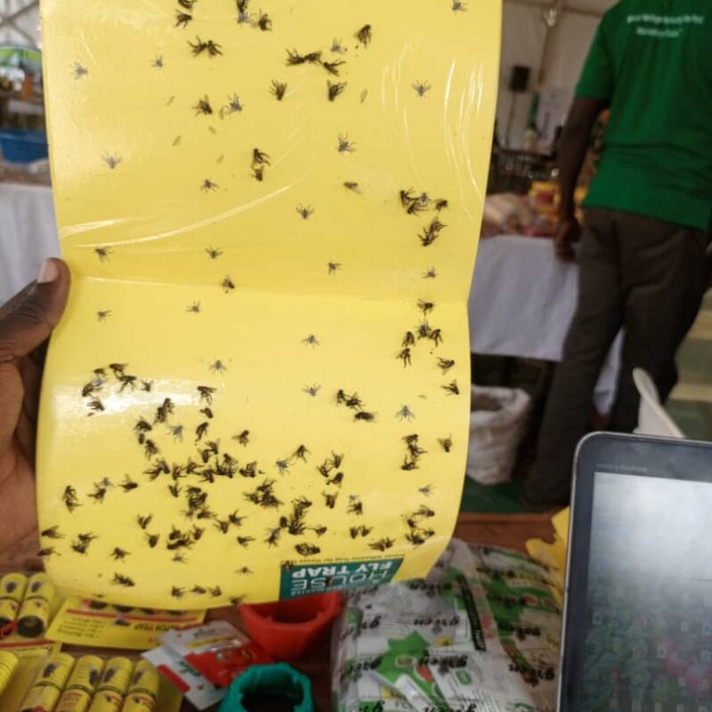 Housefly Traps - Image 2